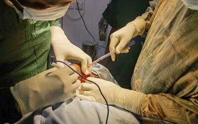 Free Surgical Mission: Cleft and Craniofacial Surgical Intervention
